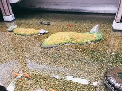 -几荷·恰似故人来(秀水广场店)