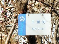 -三里河公园