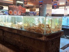 -紫阳海鲜楼·传承闽味(长乐路总店)