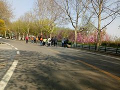 -石家庄市动物园