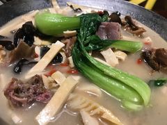 -四季春