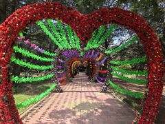 -北海金海湾红树林生态旅游区