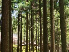 -玉苍山国家森林公园