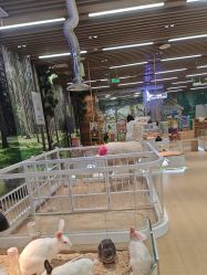 -小象动悟公园(龙湖亦庄天街店)