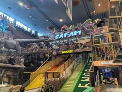 -卡通尼·Safari非洲探索乐园·生日会(金桥国际商业广场店)