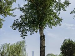 -中国农业博物馆