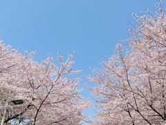 -白塘生态植物园