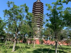 -西海子公园