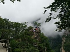-牛背梁国家森林公园