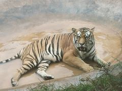 -昆明动物园