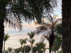 -厦门园林博览苑