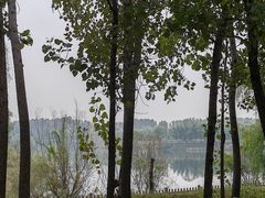 -黄河富景生态世界