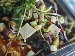-重庆火锅水库鱼庄(南油店)