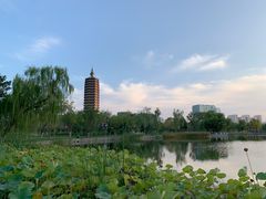 -西海子公园