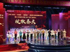 -陕西省小天鹅艺术团