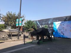-重庆欢乐海底世界