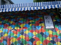 -猫咪博物馆(顶澳仔猫街店)