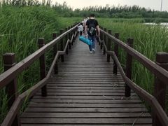 -西青郊野公园