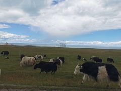 -青海湖国家重点风景名胜区