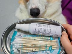 -半岛宠物医院24小时(科华中路店)