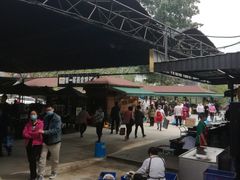 -京北渔家傲