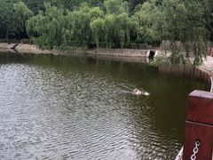 -北岭山森林公园