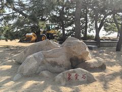 -老虎石海上公园