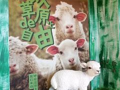 -亿百顺红焖羊排小馆(总店)