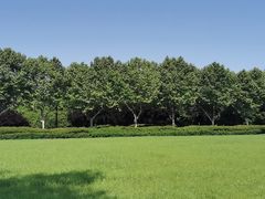 -宜兴龙背山森林公园