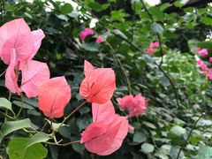 -第五季龙水凤港生态露营农场