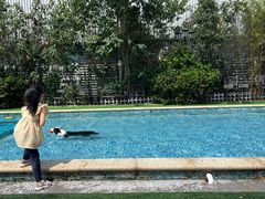 -汪说喵讲宠物乐园宠物酒店(红星美凯龙店)