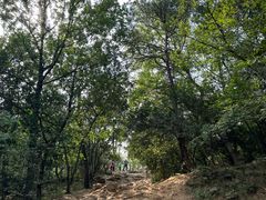-虞山风景区