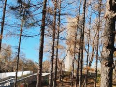 -长春市南湖公园