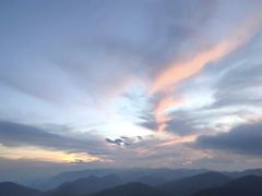 -武陵山森林公园