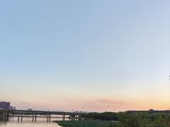 -艾溪湖湿地公园