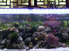 水族缸-裕丰源(福彩路店)