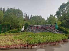 -东平国家森林公园