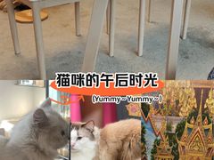 -泰国佛·塔罗·泰牌狐仙古曼