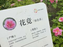 -太阳宫公园