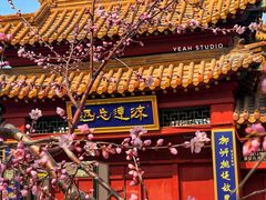 -桃花堤公园