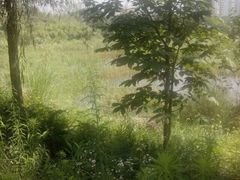 -成都中医药大学(温江校区)