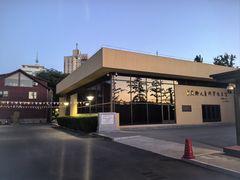 -中国宋庆龄青少年科技文化交流中心