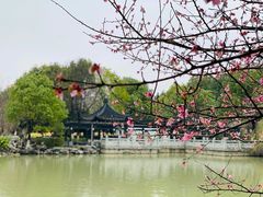 -无锡梅园公园