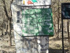 -北京鹫峰国家森林公园