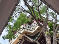 -顺峰山公园