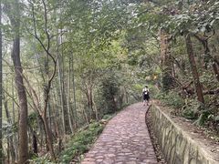 -紫金山山顶公园