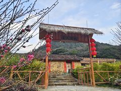 -广州市石门国家森林公园