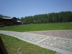 -合肥滨湖国家森林公园