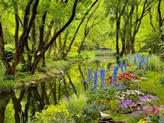 -上海共青森林公园