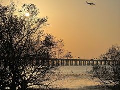 -宝安西湾红树林湿地公园